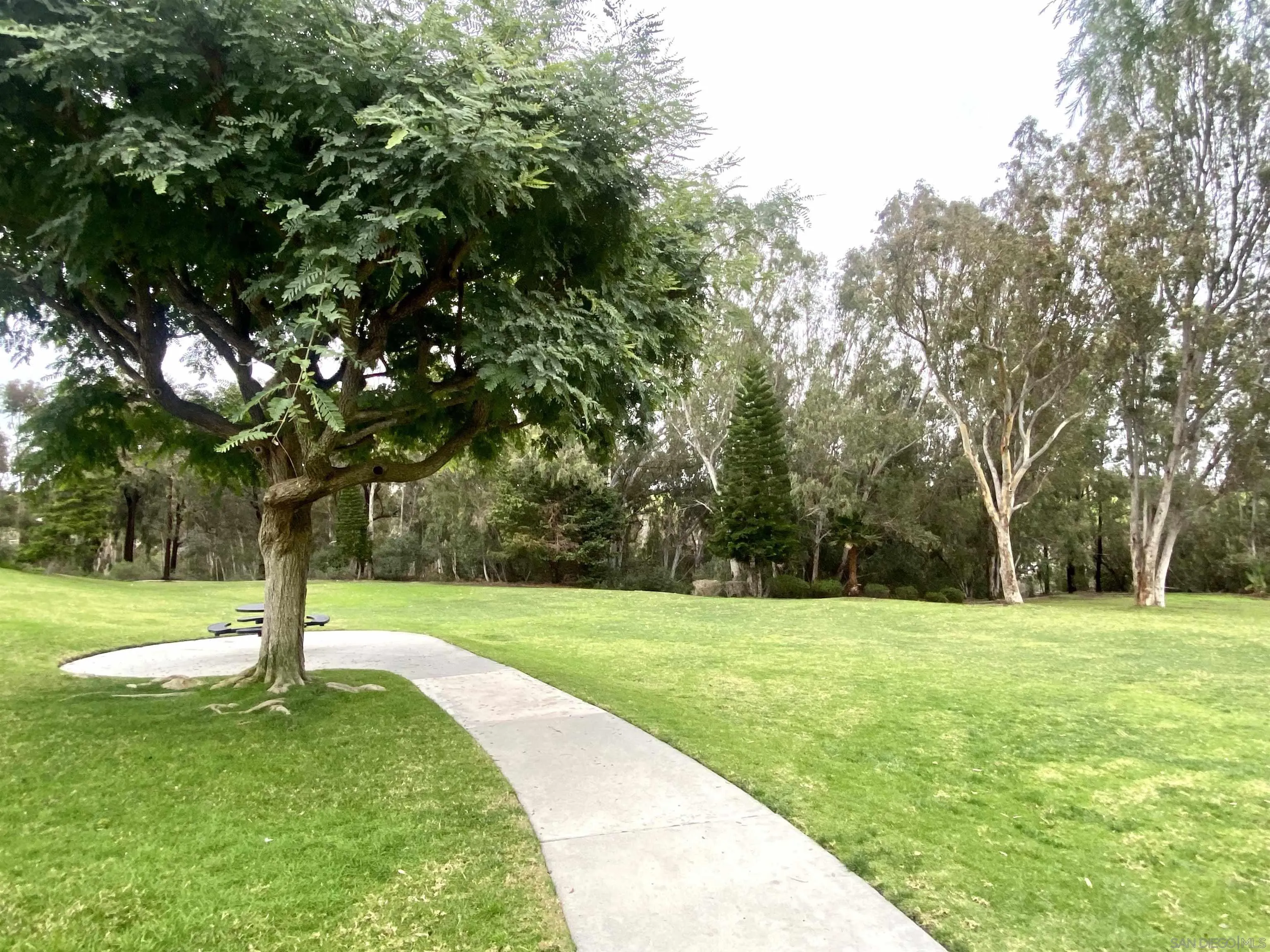 409 Helix Way Oceanside, CA 92057 - Photo 28 of 29 a view of a trees in a park