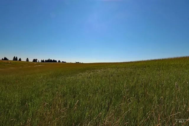 $149,999 | Tbd Tbd Stuart Road, Orofino, ID 83544