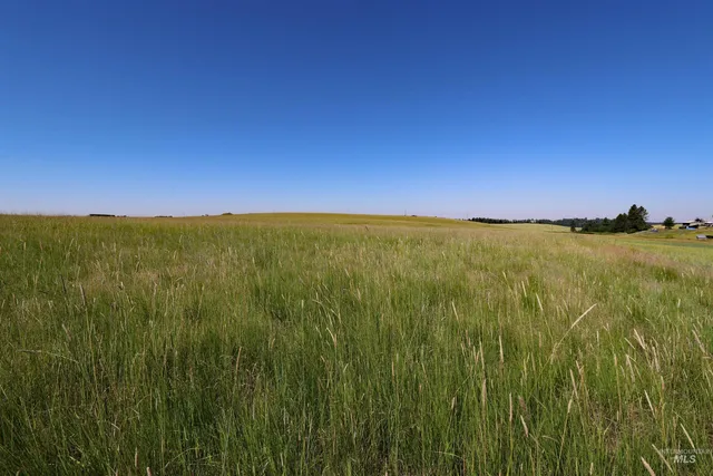 $149,999 | Tbd Tbd Stuart Road, Orofino, ID 83544