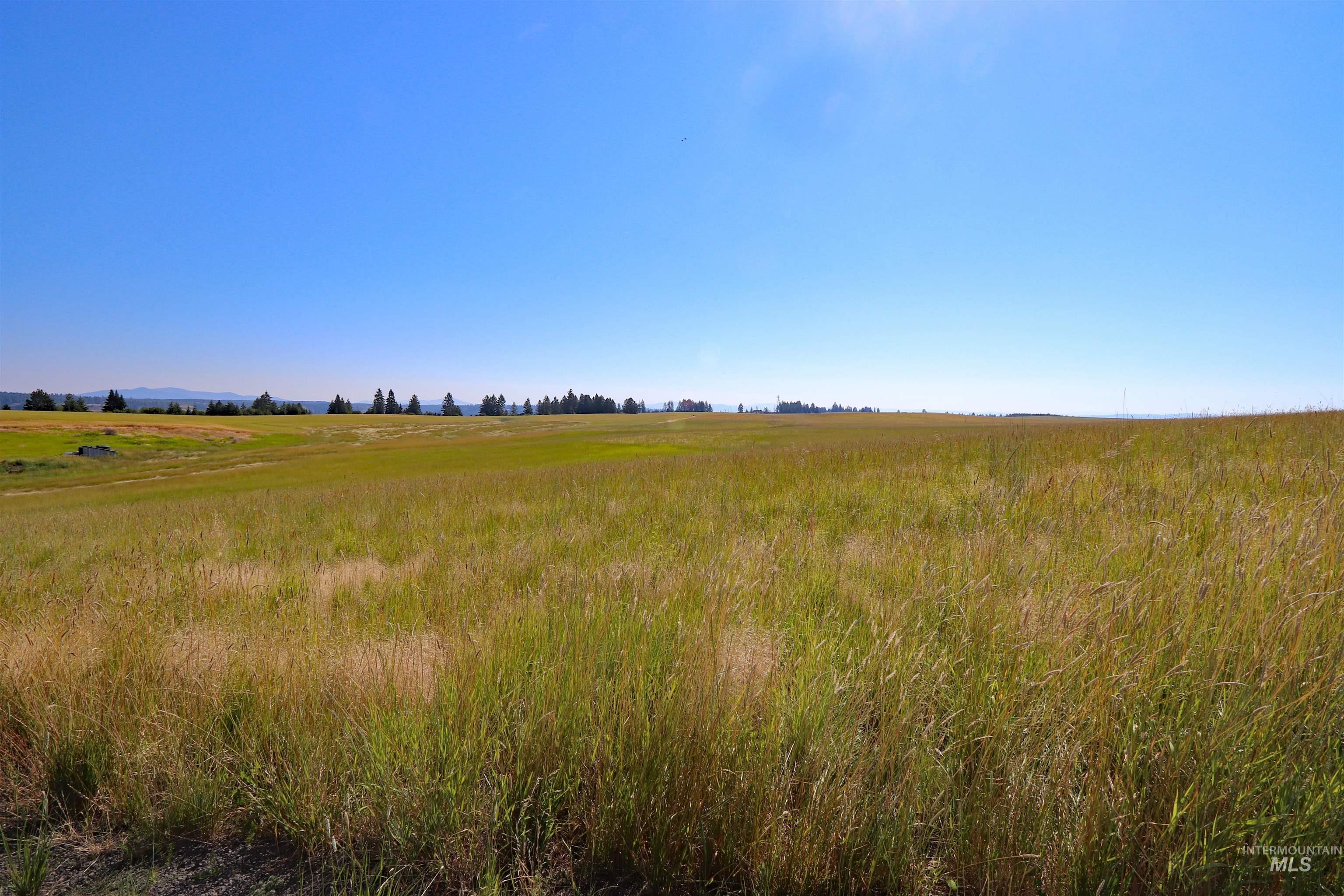 Tbd Tbd Stuart Road Orofino, ID 83544 - Photo 26 of 27