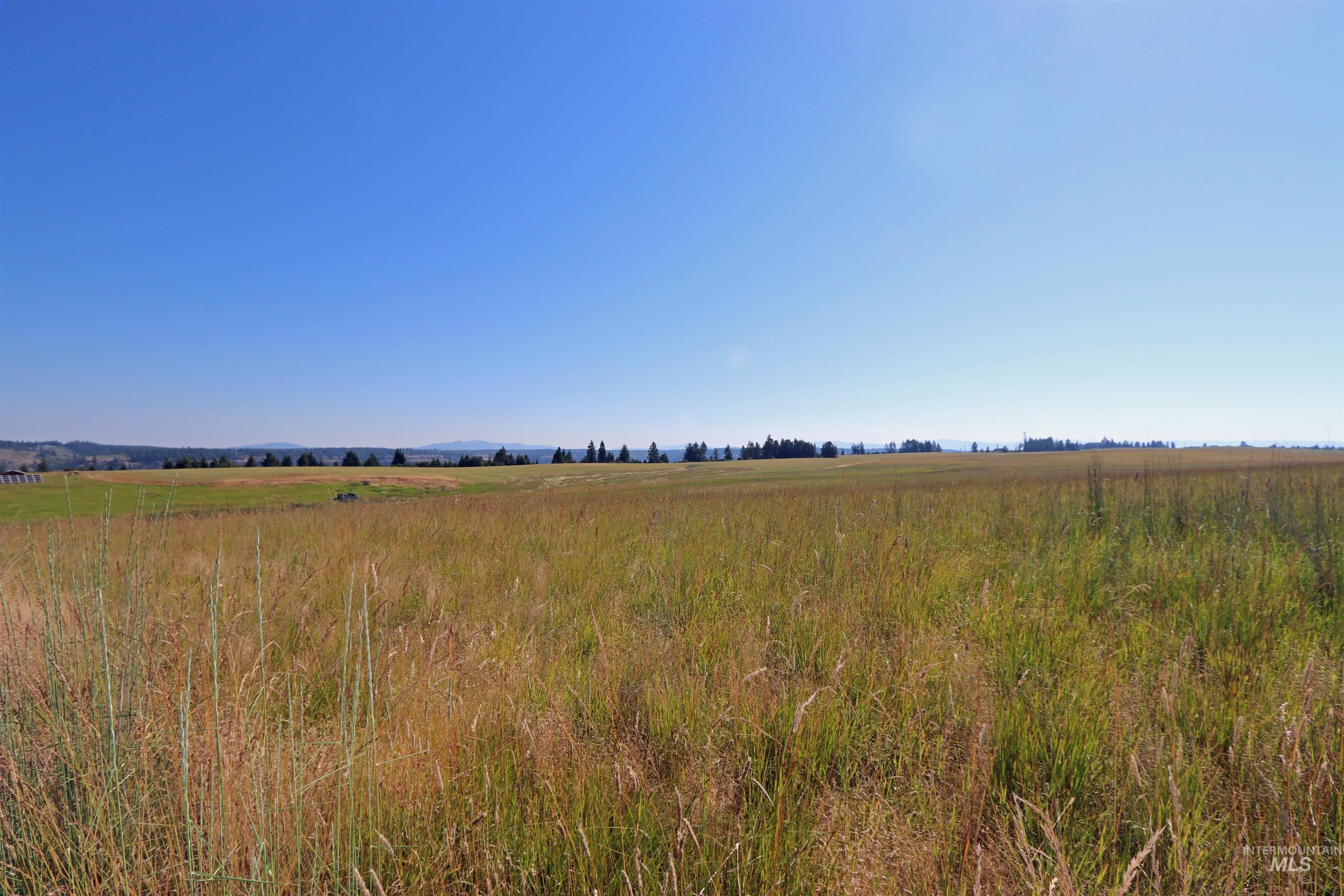 Tbd Tbd Stuart Road Orofino, ID 83544 - Photo 4 of 27