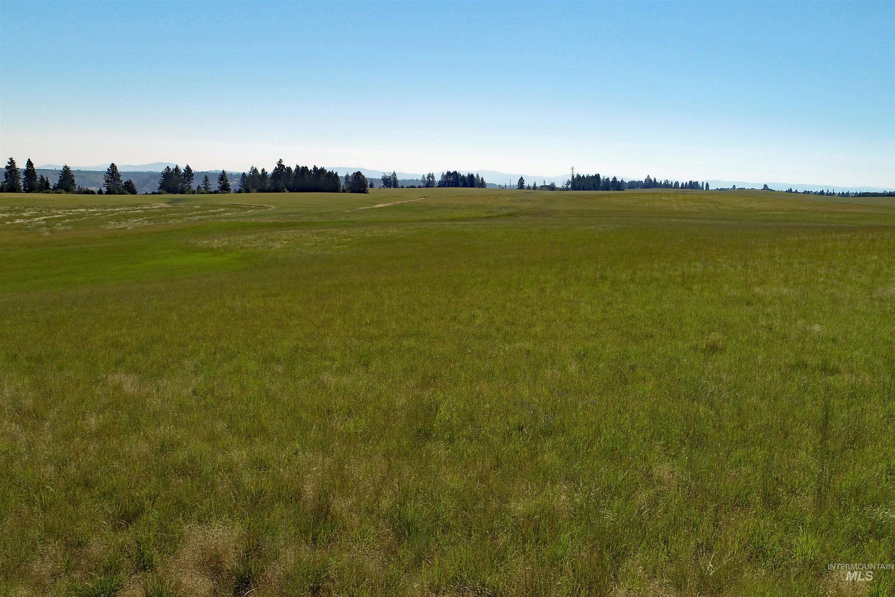 Tbd Tbd Stuart Road Orofino, ID 83544 - Photo 7 of 27