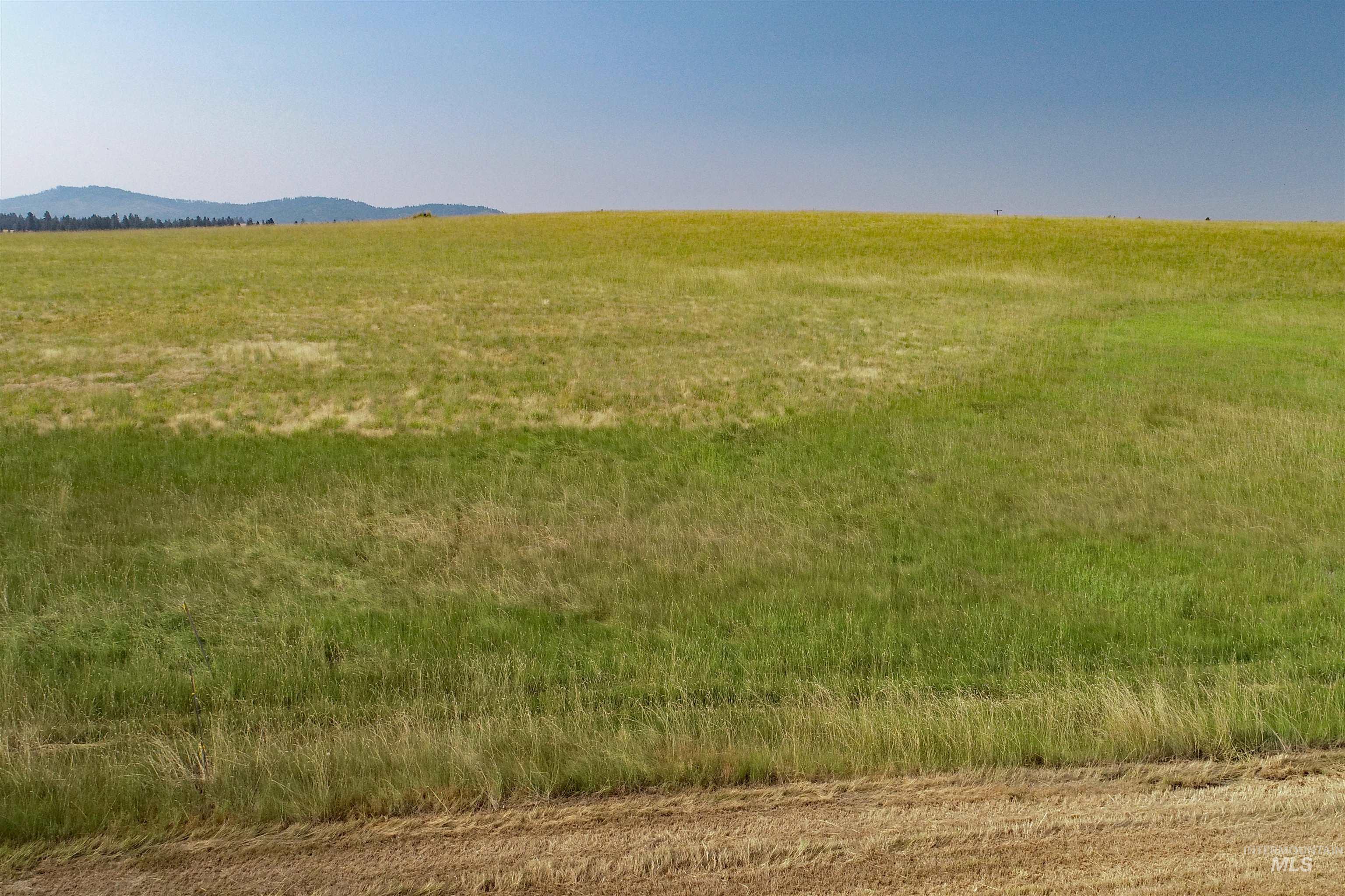 Tbd Tbd Stuart Road Orofino, ID 83544 - Photo 8 of 27