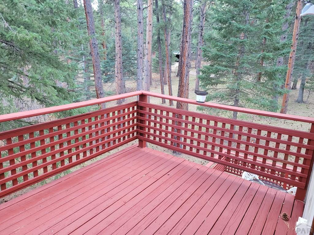 8329 Daisy Lane Rye, CO 81069 - Photo 36 of 41 Gallery Image 36