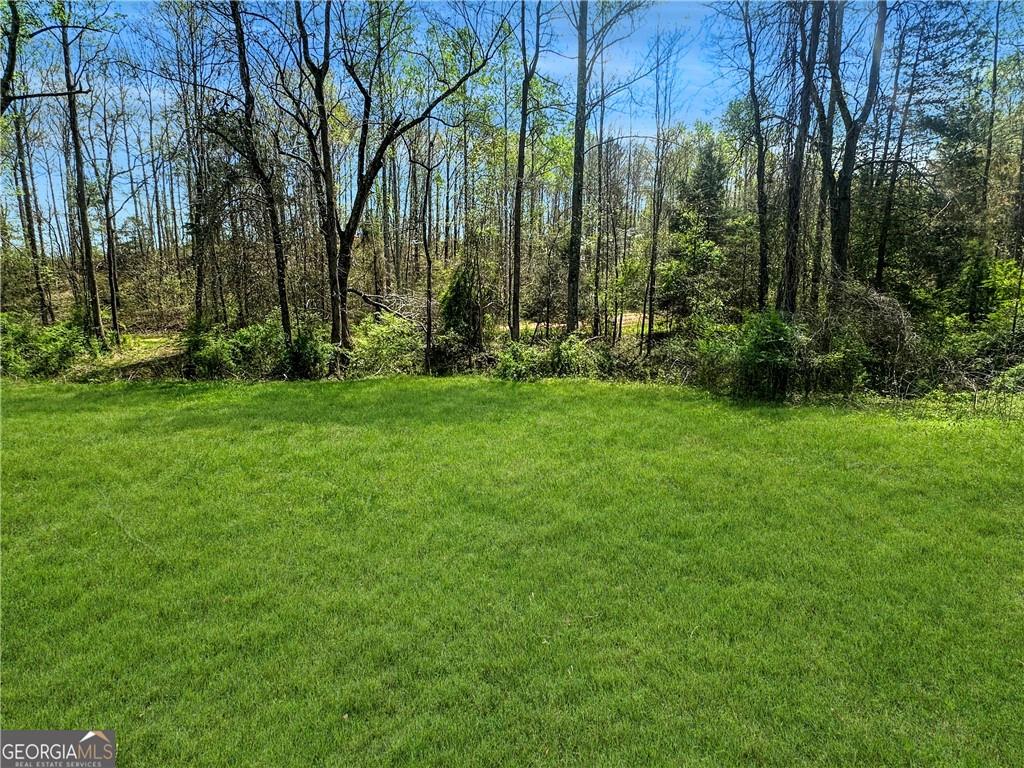 960 Goose Neck Road Eastanollee, GA 30538 - Photo 4 of 12 a view of a backyard with palm trees