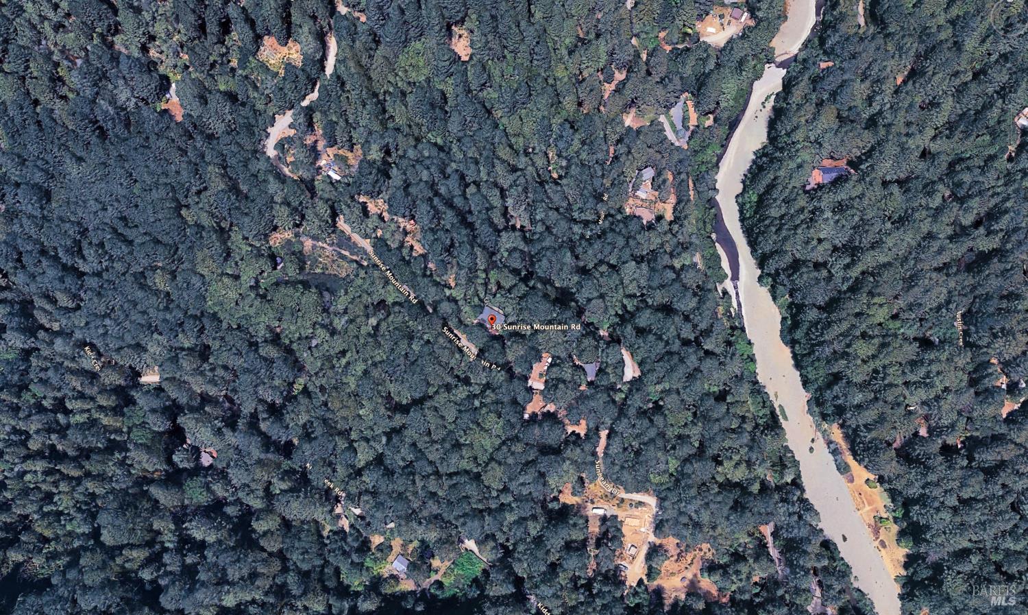 30 Sunrise Mountain Road Cazadero, CA 95421 - Photo 12 of 12 a picture of tree