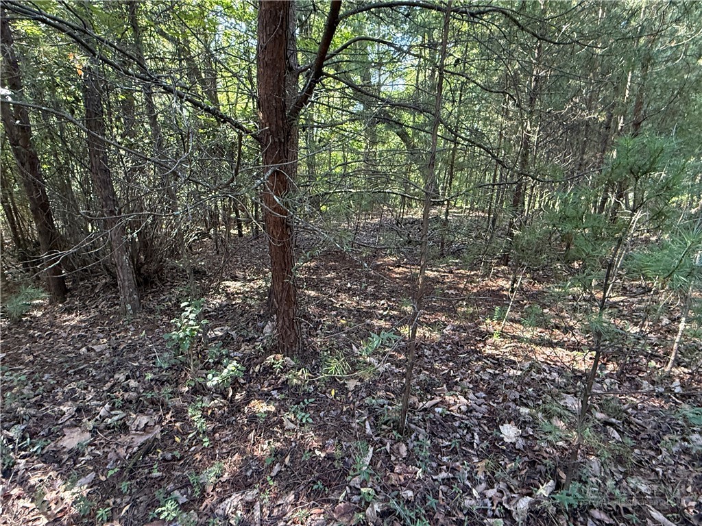 Lot 24 Wolf Pen Road Purlear, NC 28665 - Photo 12 of 42 Gallery Image 12