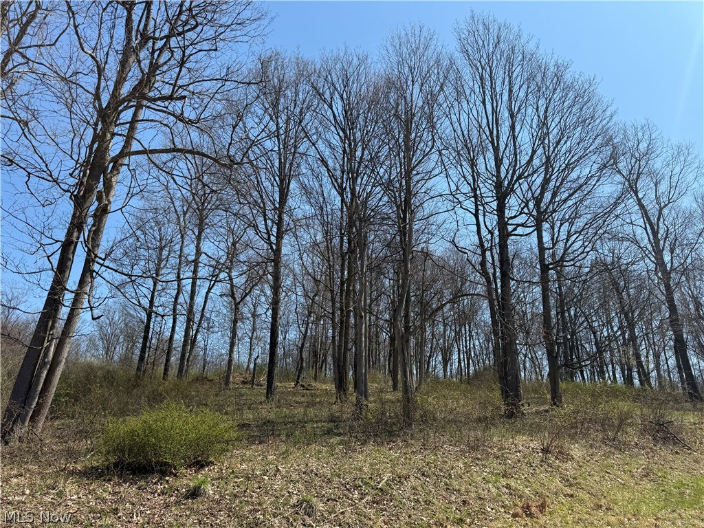 0 Kragel Road Richmond, OH 43944 - Photo 4 of 31
