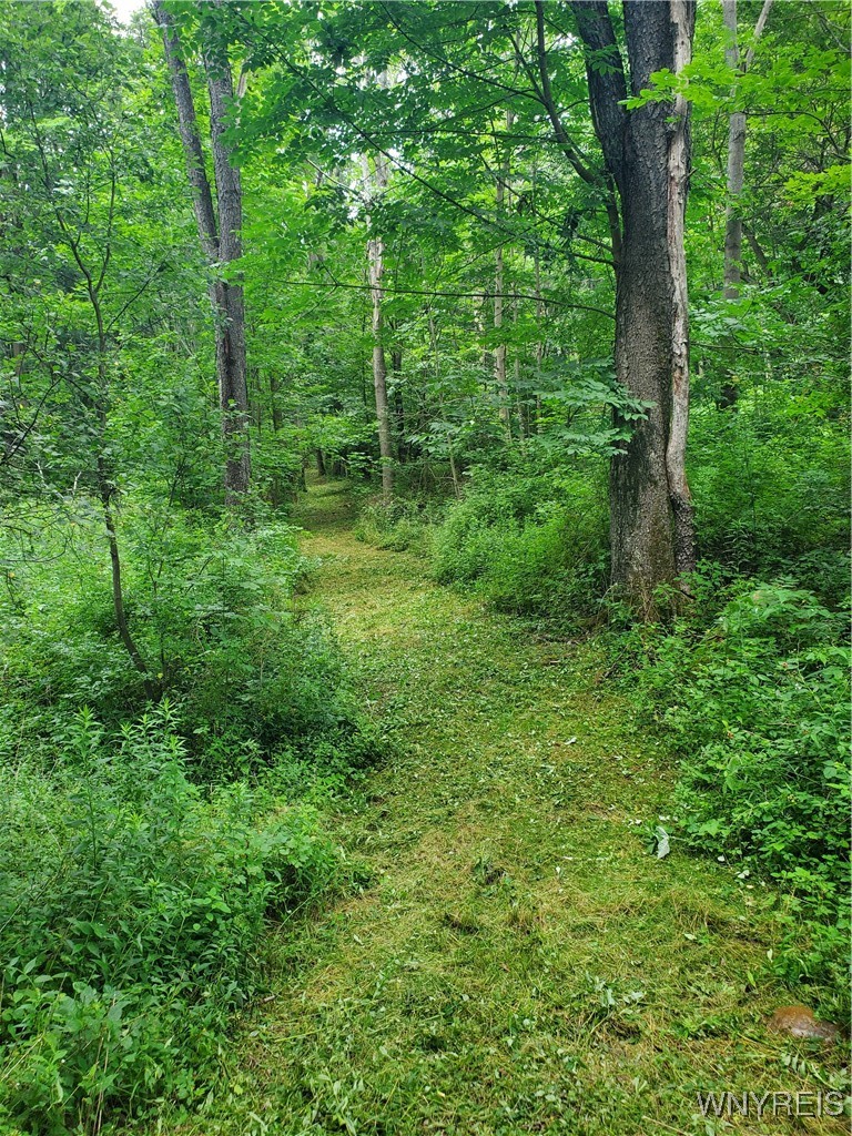 7200 Kent Road Little Valley, NY 14755 - Photo 10 of 43