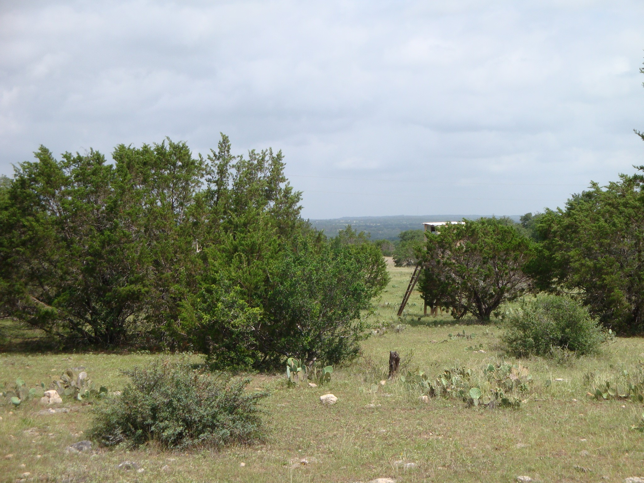 1619 Althaus Ranch Road Johnson City, TX 78636 - Photo 37 of 40