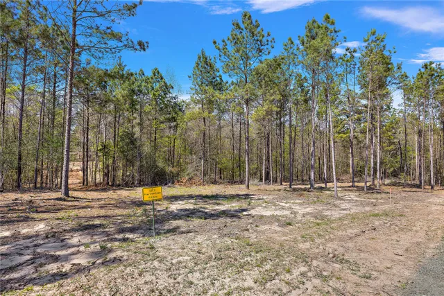 a view of outdoor space with trees