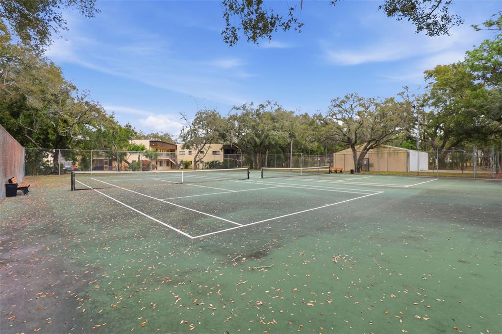 11808 Raintree Lake Lane, Unit C Tampa, FL 33617 - Photo 20 of 24