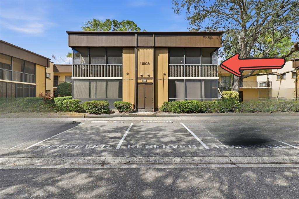 11808 Raintree Lake Lane, Unit C Tampa, FL 33617 - Photo 2 of 24