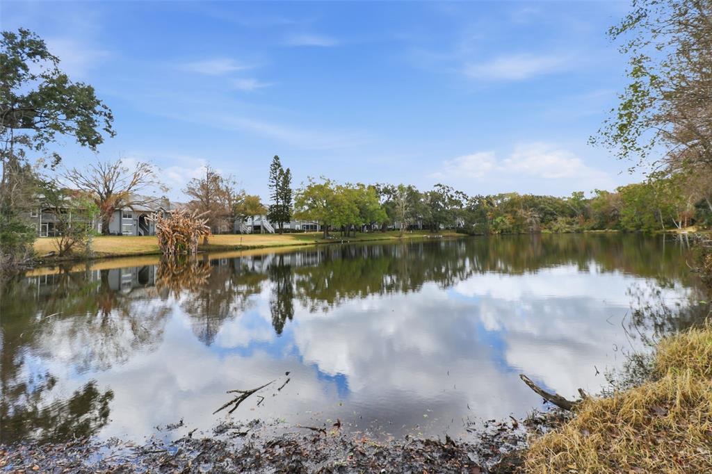 11808 Raintree Lake Lane, Unit C Tampa, FL 33617 - Photo 21 of 24
