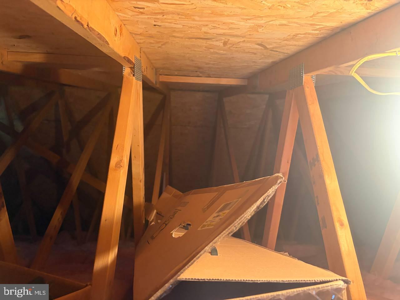 333 East Bailey Road Lewisburg, WV 24901 - Photo 56 of 57 Hidden storage in the attic space.