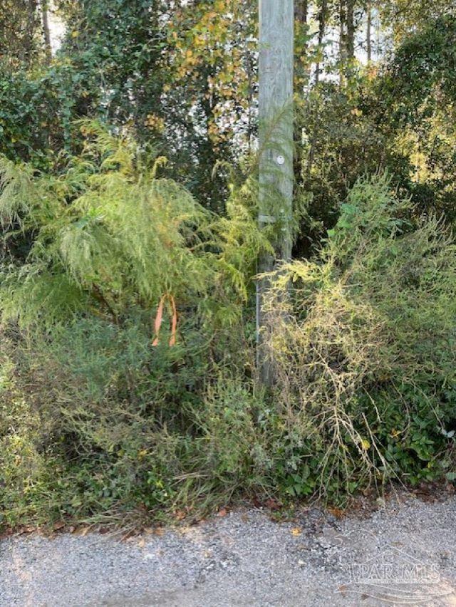 0 Gillis Road Milton, FL 32583 - Photo 1 of 7 Gallery Image 1