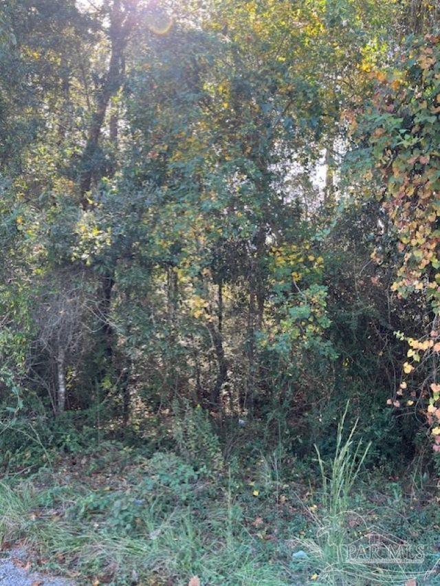 0 Gillis Road Milton, FL 32583 - Photo 2 of 7 Gallery Image 2