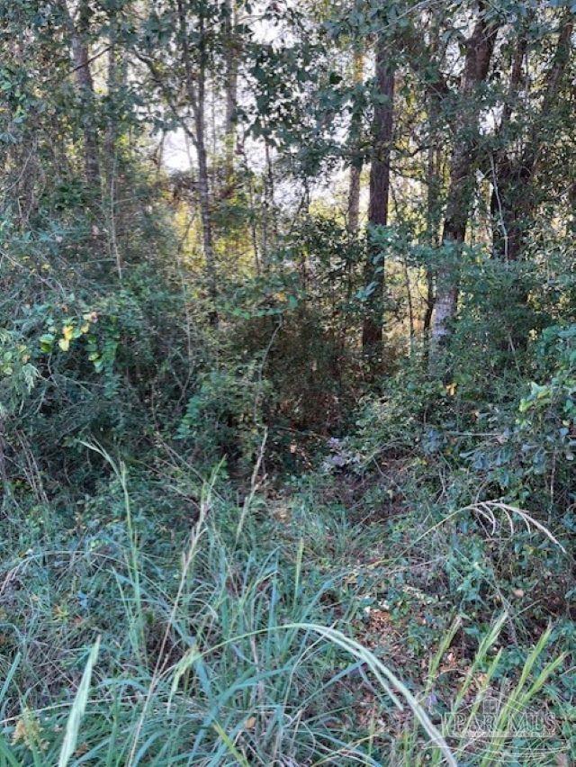0 Gillis Road Milton, FL 32583 - Photo 3 of 7 Gallery Image 3