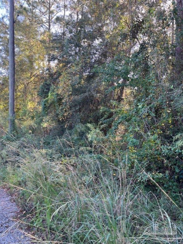 0 Gillis Road Milton, FL 32583 - Photo 4 of 7 Gallery Image 4