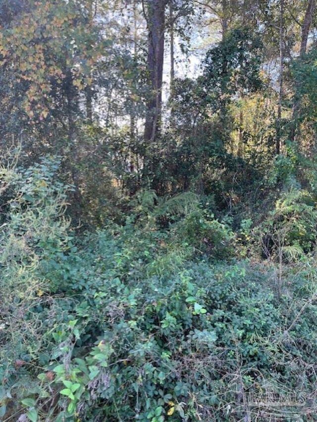 0 Gillis Road Milton, FL 32583 - Photo 5 of 7 Gallery Image 5