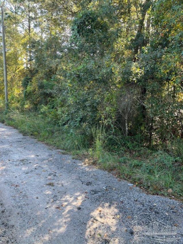 0 Gillis Road Milton, FL 32583 - Photo 7 of 7 Gallery Image 7