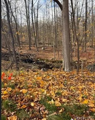 a view of a backyard of the house