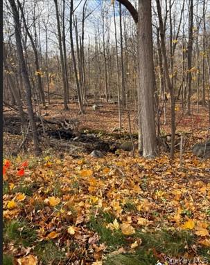 1 South Airmont Road Suffern, NY 10901 - Photo 1 of 16 a view of a backyard of the house