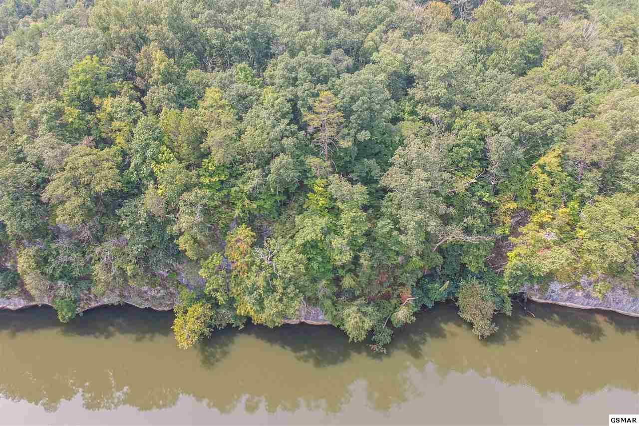 20 Rays Gap Road Seymour, TN 37865 - Photo 7 of 13 an aerial view of residential houses with outdoor space and lake view