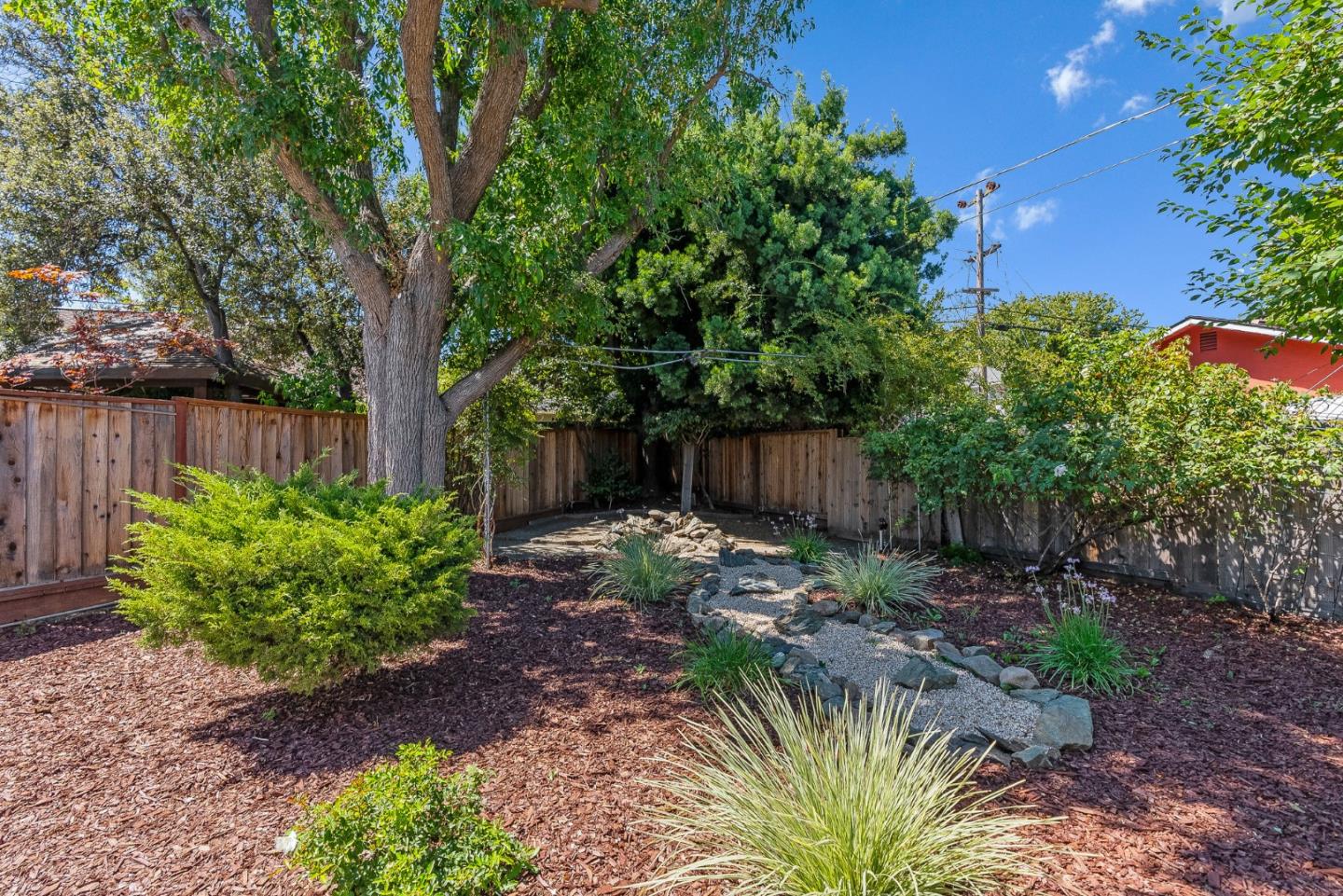 3763 Xavier Court Campbell, CA 95008 - Photo 29 of 41 a view of a backyard with plants and a large tree