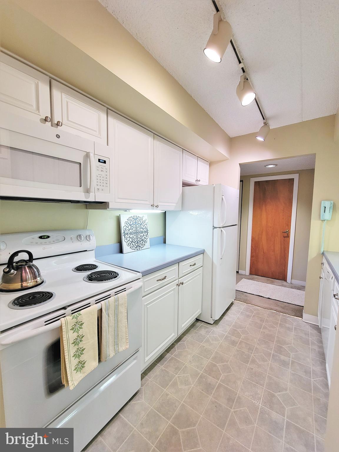 800 Avondale Road, Unit 3G Wallingford, PA 19086 - Photo 22 of 87 Kitchen Lighting