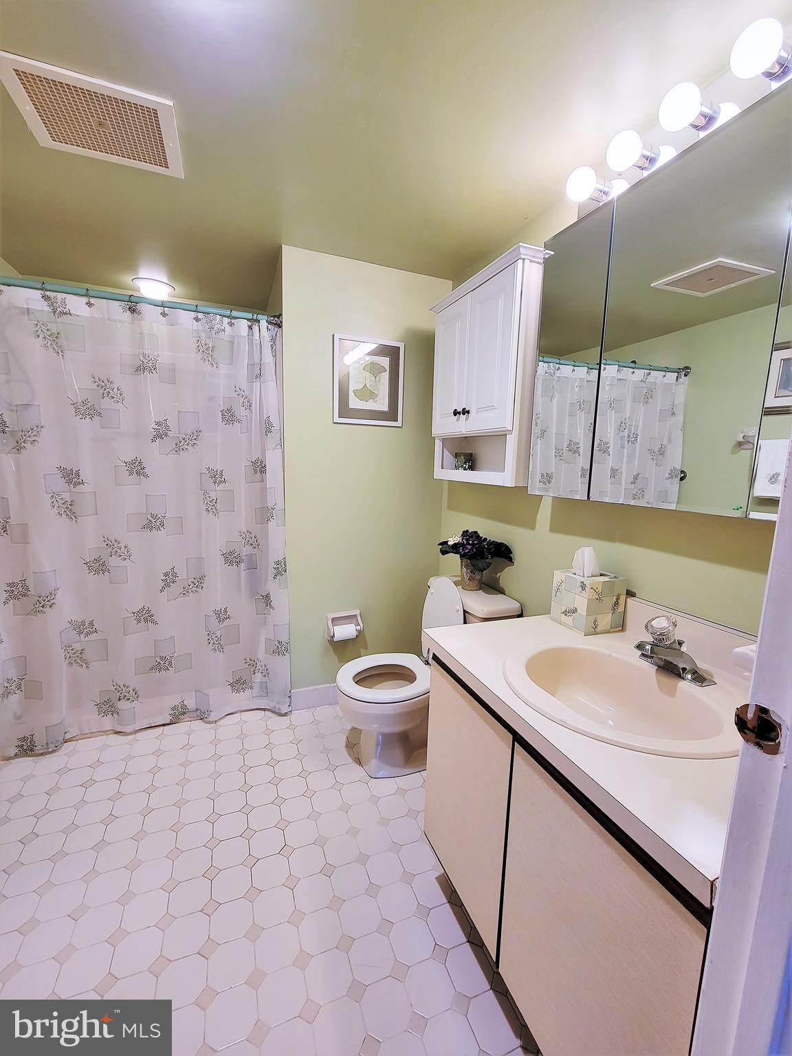 800 Avondale Road, Unit 3G Wallingford, PA 19086 - Photo 59 of 87 Main Bathroom