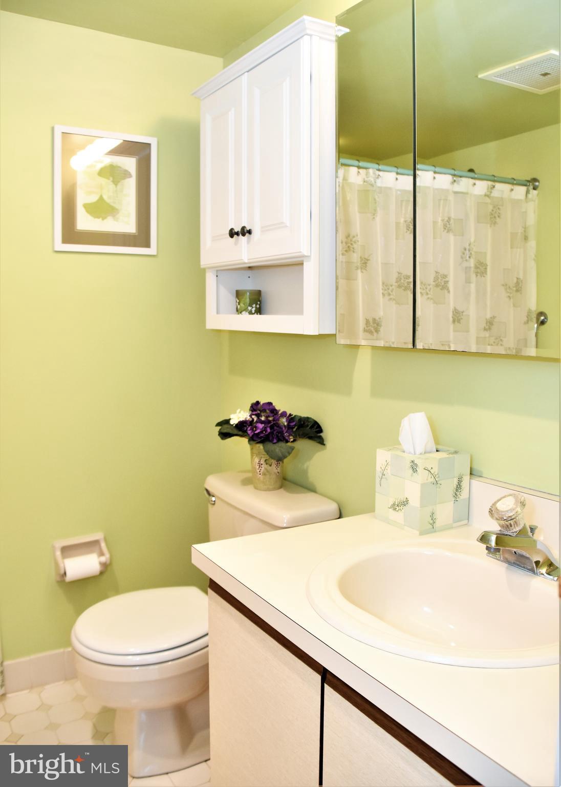 800 Avondale Road, Unit 3G Wallingford, PA 19086 - Photo 60 of 87 Main Bathroom