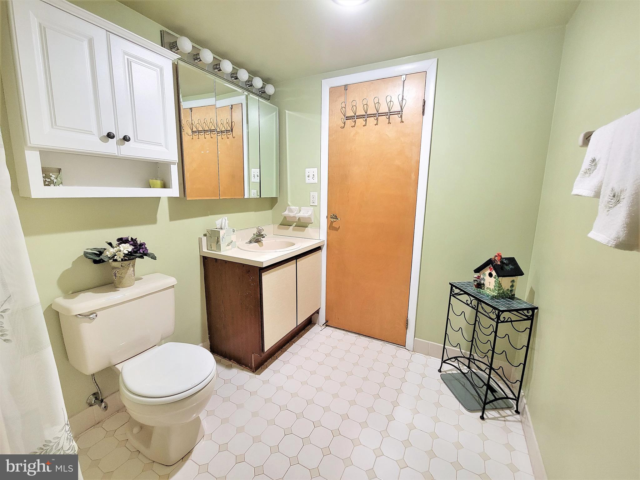 800 Avondale Road, Unit 3G Wallingford, PA 19086 - Photo 62 of 87 Main Bathroom