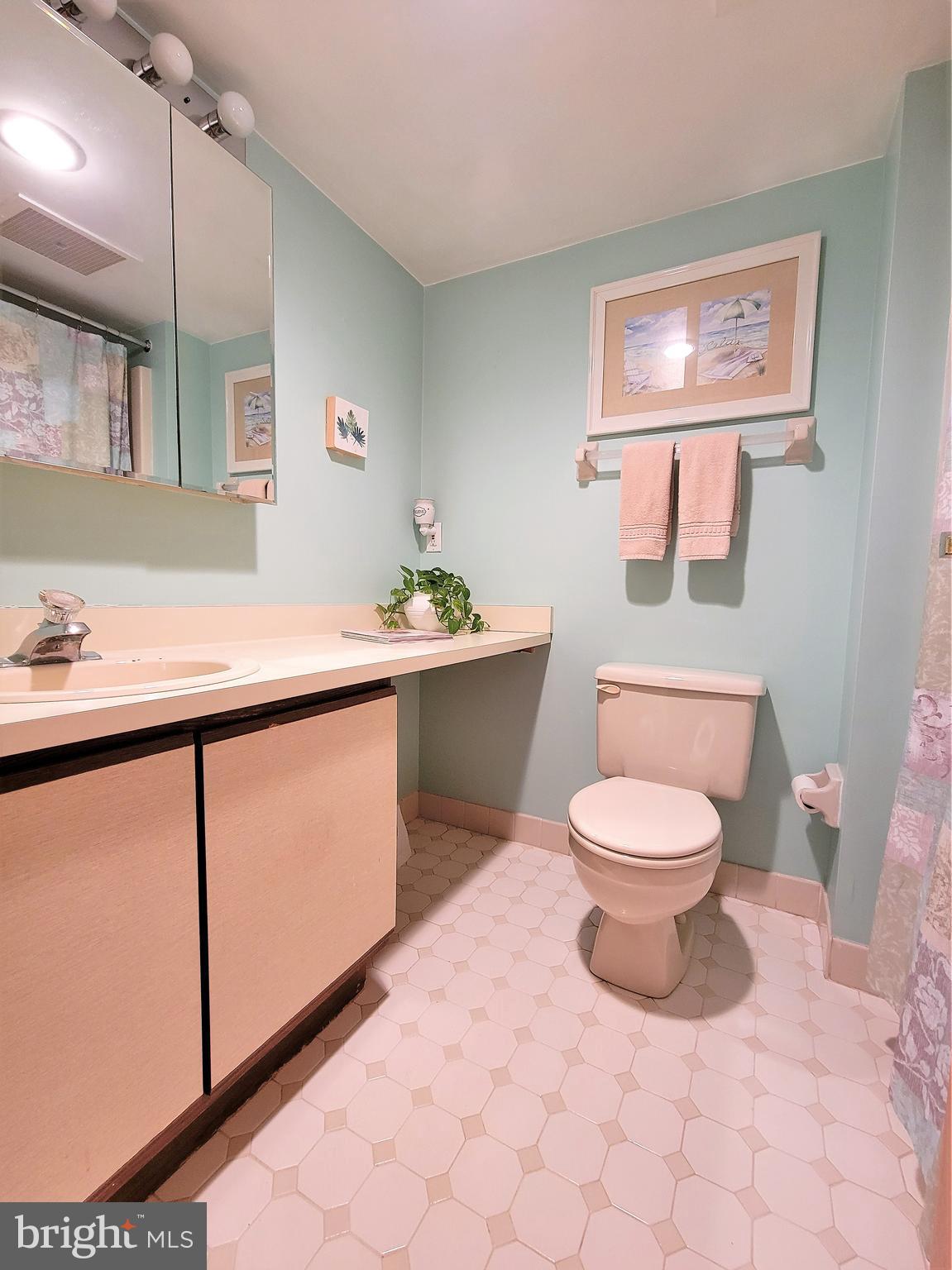 800 Avondale Road, Unit 3G Wallingford, PA 19086 - Photo 76 of 87 Hall Bath