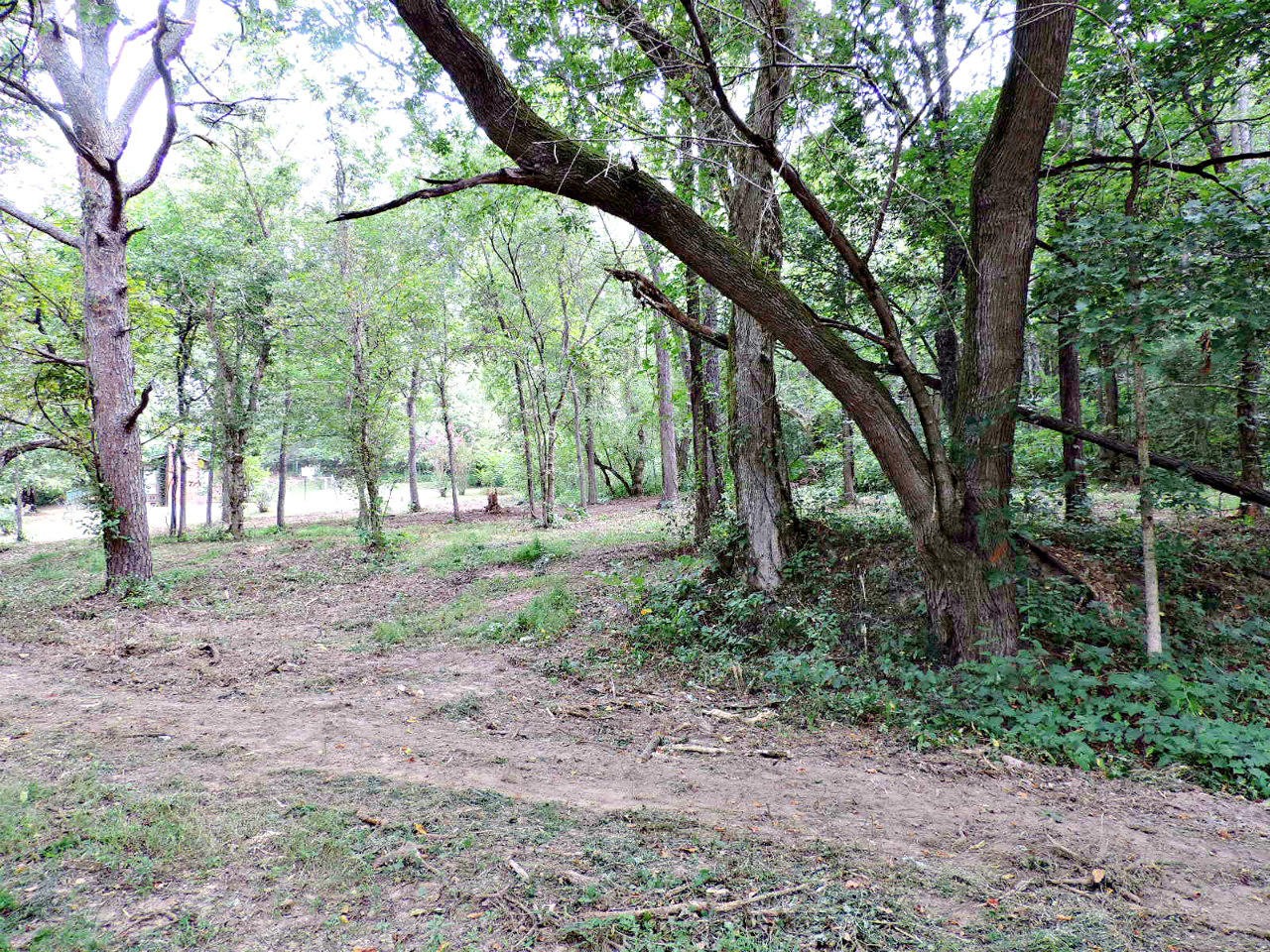 123 Ernie Roberts Road Rutledge, TN 37861 - Photo 32 of 32 Gallery Image 32