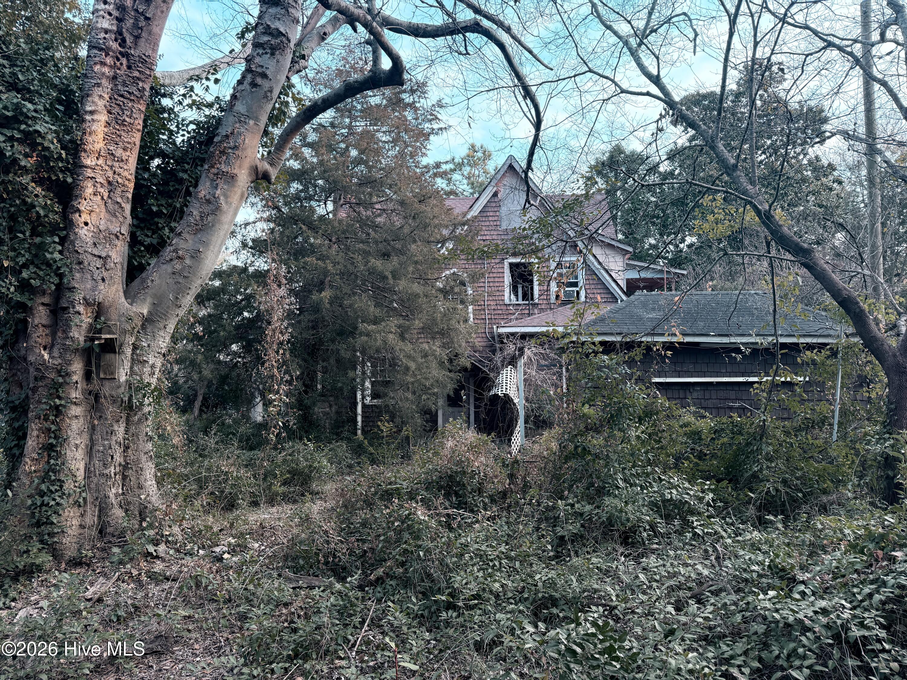 316 Entwistle Street Hamlet, NC 28345 - Photo 4 of 37 back of house
