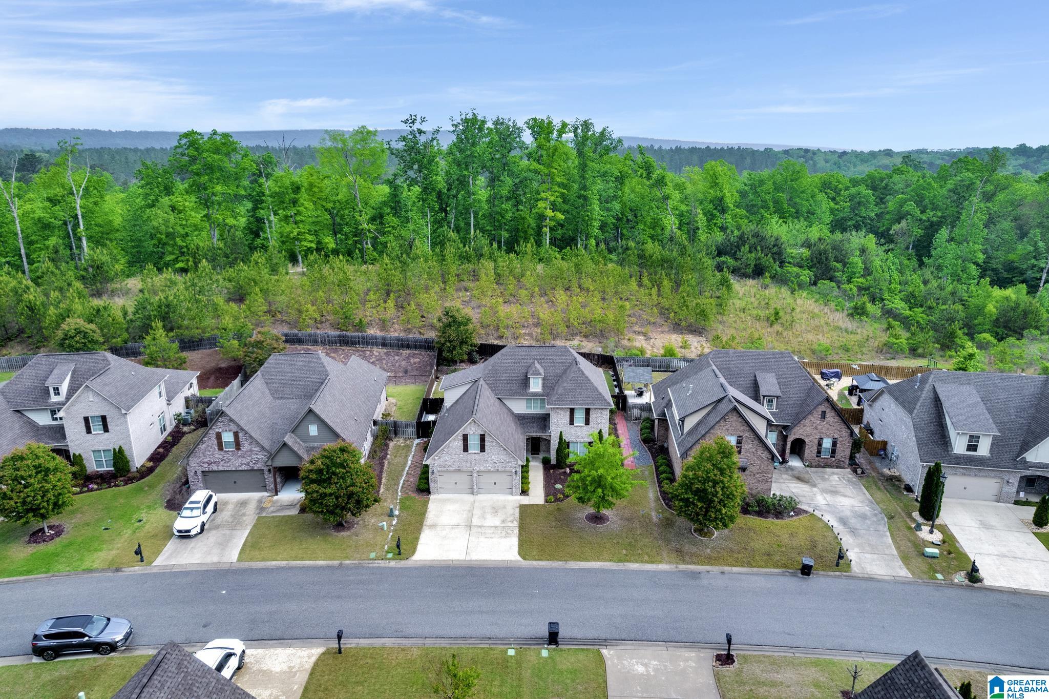 340 Strathaven Circle Pelham, AL 35124 - Photo 44 of 49