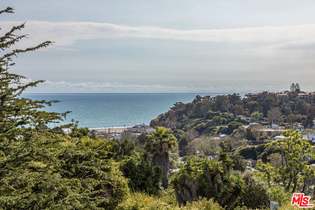 540 Adelaide Drive Santa Monica, CA 90402 - Photo 32 of 45 a view of a bunch of trees in a field