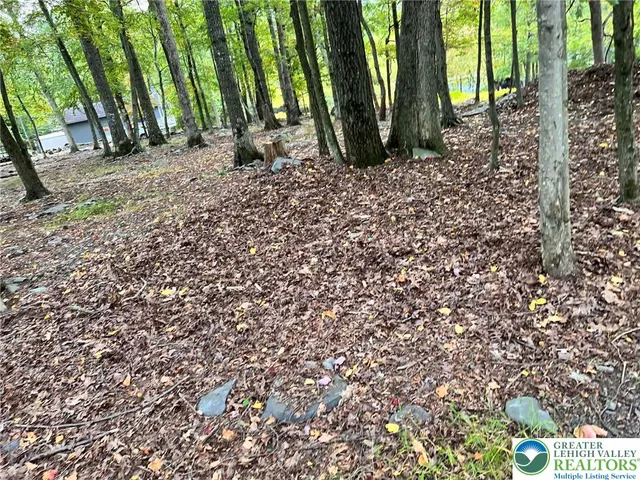 $20,000 | 127 Edgewater Drive, Unit LOT 11 ABCD, Dingmans Ferry, PA 18328