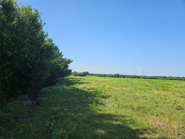 a view of yard with swimming pool and green space