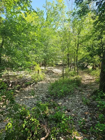 a view of a yard with plants and a tree