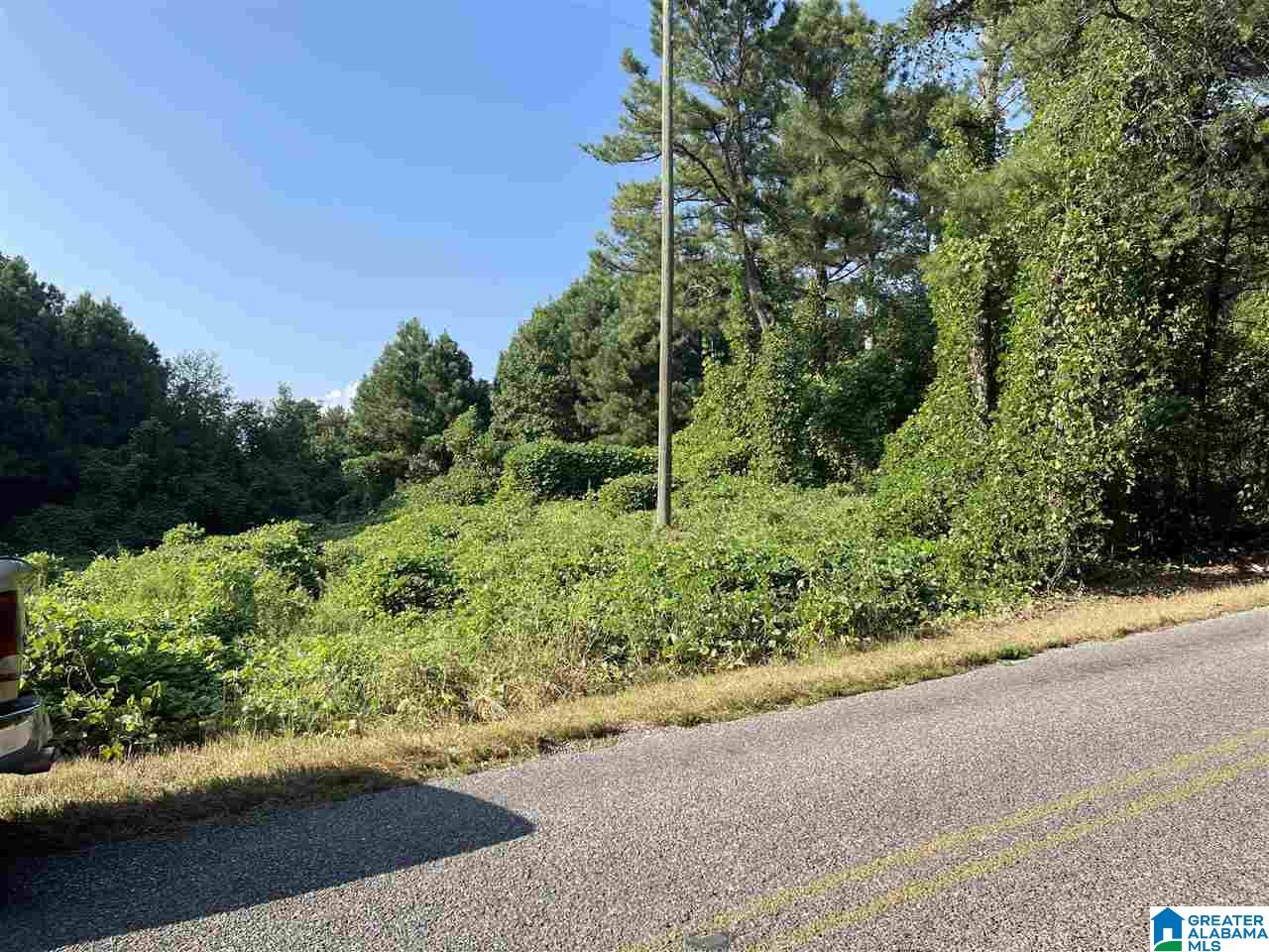 0 Pine Mountain Road Remlap, AL 35133 - Photo 2 of 7