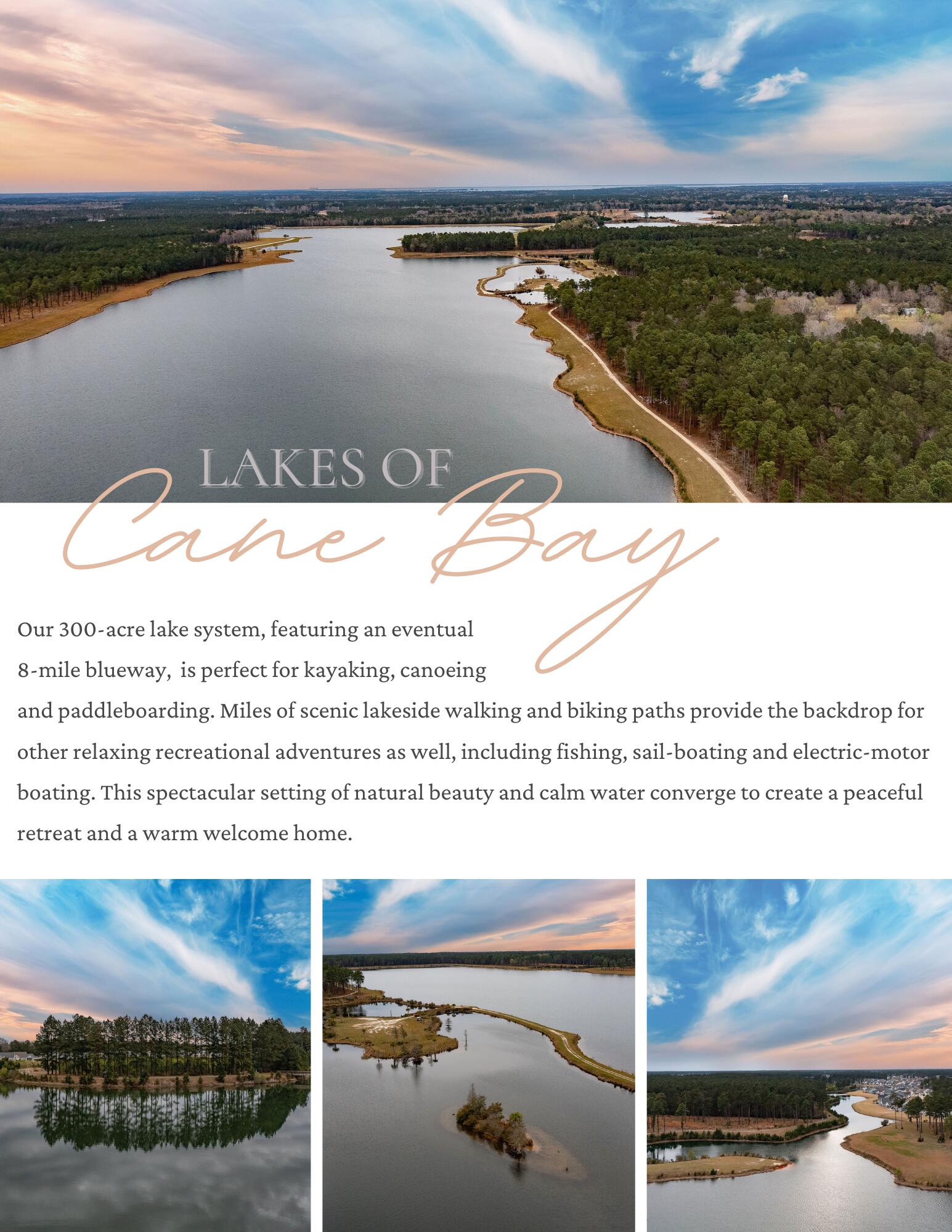 356 Calm Water Way Summerville, SC 29486 - Photo 64 of 79 LAKES OF CANE BAY FLYER
