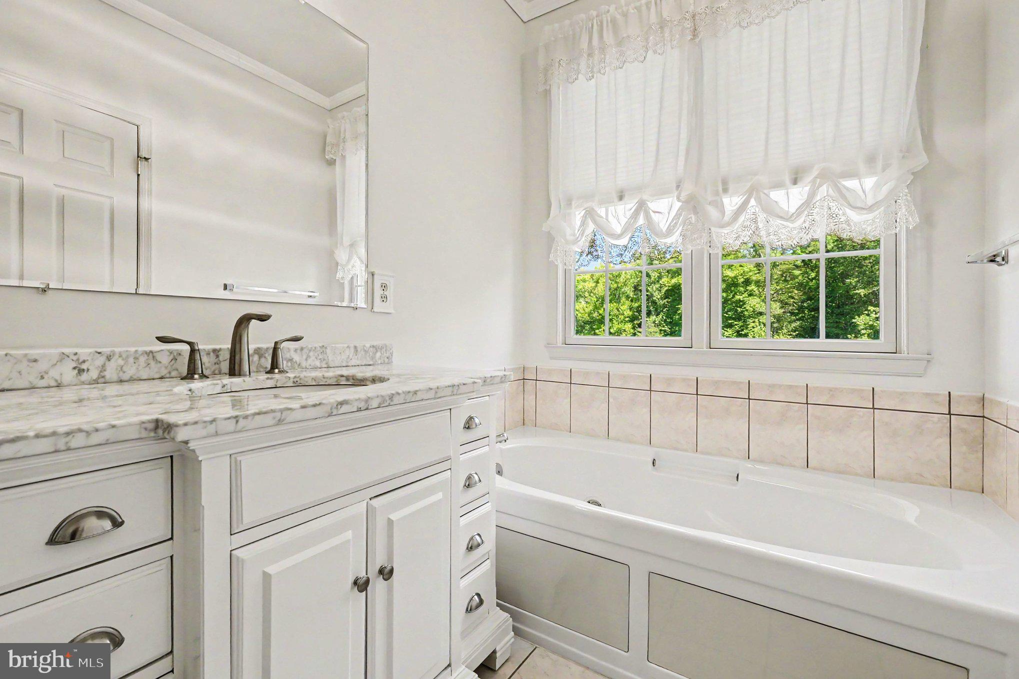 89 Ridge Run Road North East, MD 21901 - Photo 21 of 51 Jetted Tub in Primary Bathroom
