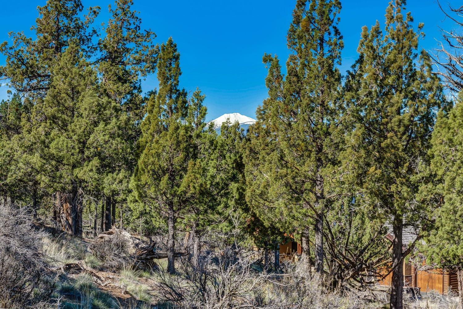 1685 Northwest Wild Rye Circle Bend, OR 97703 - Photo 9 of 17 Additional Photo