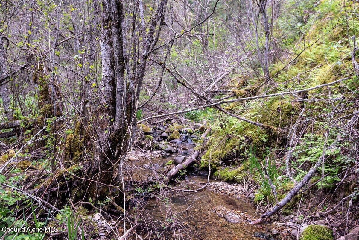 Nna North Corbin Hill Road Athol, ID 83801 - Photo 6 of 25 13-DSC_5609