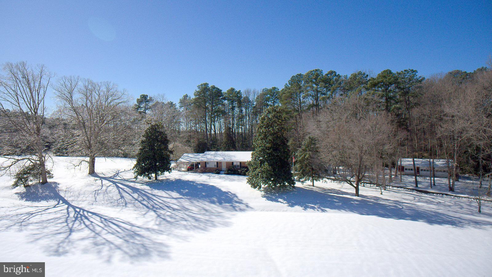 43641 Redmond Road Leonardtown, MD 20650 - Photo 13 of 15 a view of a yard with a tree