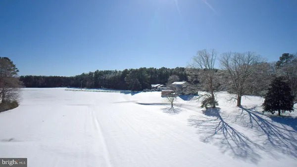 a view of a yard covered in snow