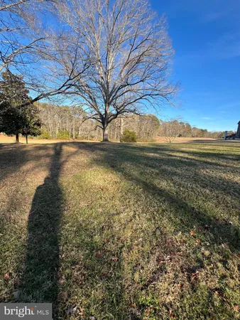 a view of an outdoor space and trees