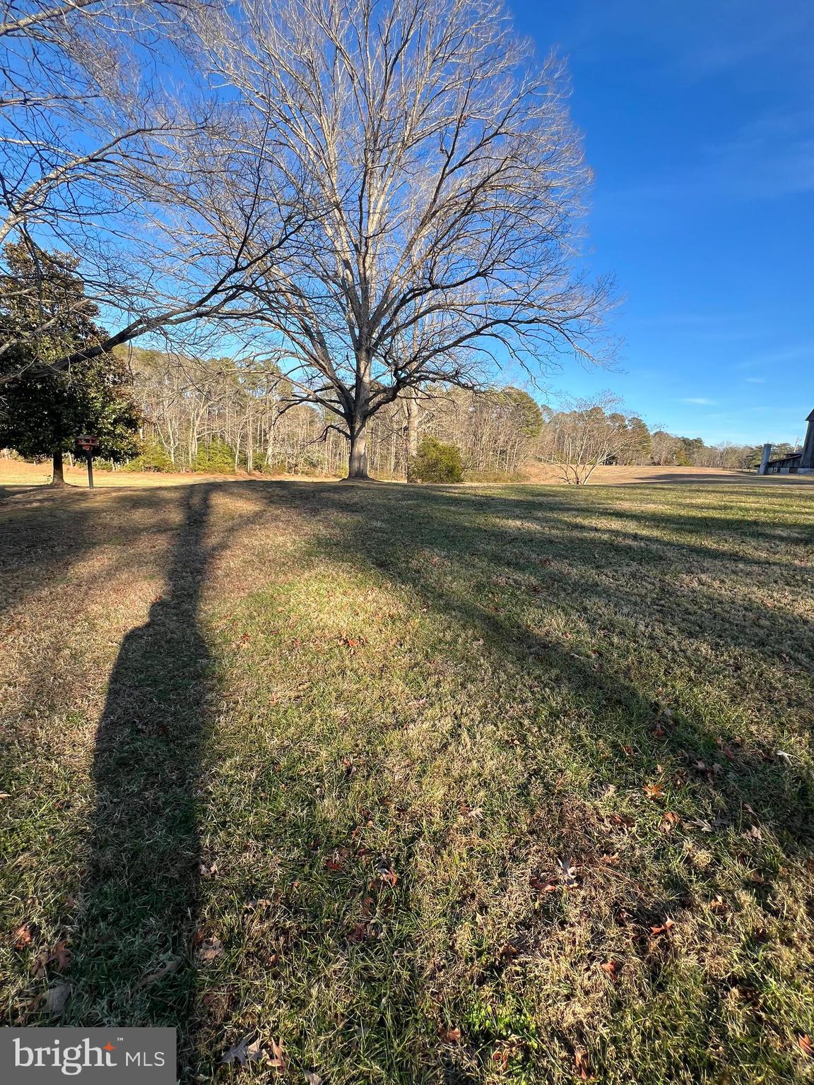 43641 Redmond Road Leonardtown, MD 20650 - Photo 6 of 15 a view of an outdoor space and trees